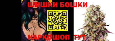 spice Рязань
