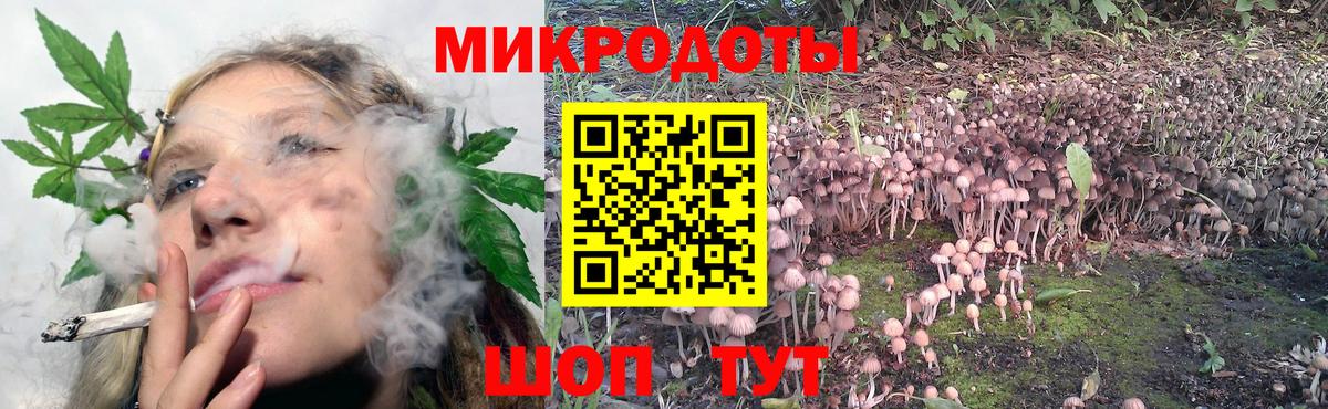 Галлюциногенные грибы MAGIC MUSHROOMS  Галлюциногенные грибы мицелий  Россошь  Вход с VPN 